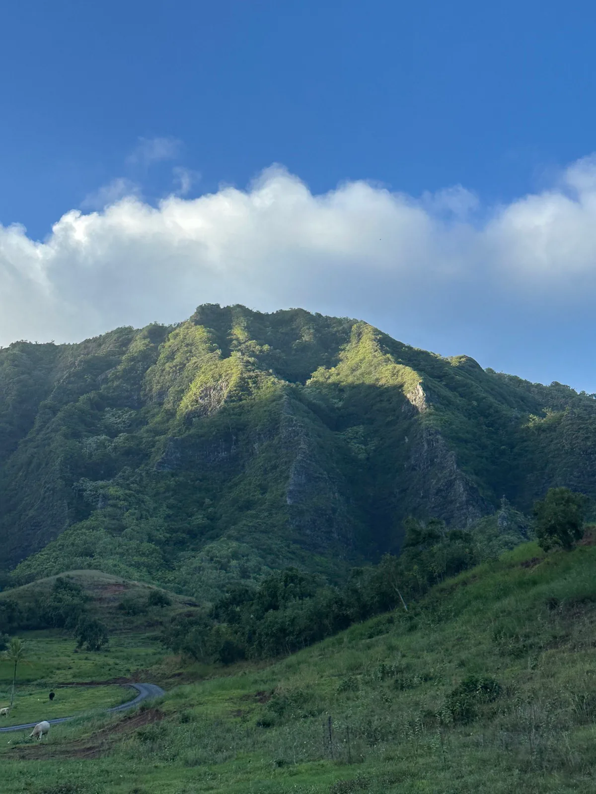 A lush green mountain beneath soft clouds